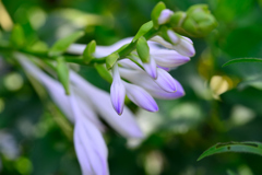 変わらない思い　