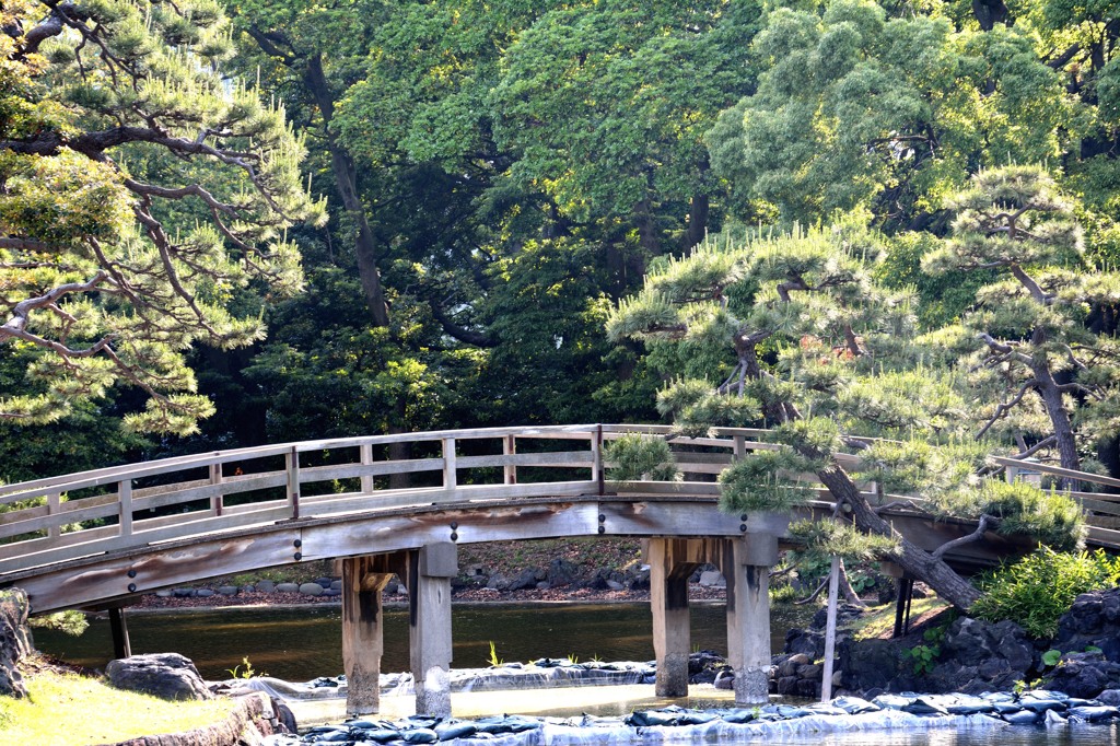古橋