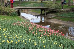 2014年4月6日昭和記念公園 01803
