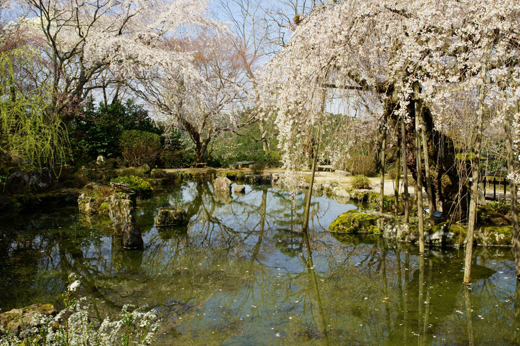 竹林院群芳園