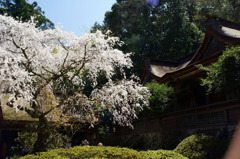 吉野水分神社