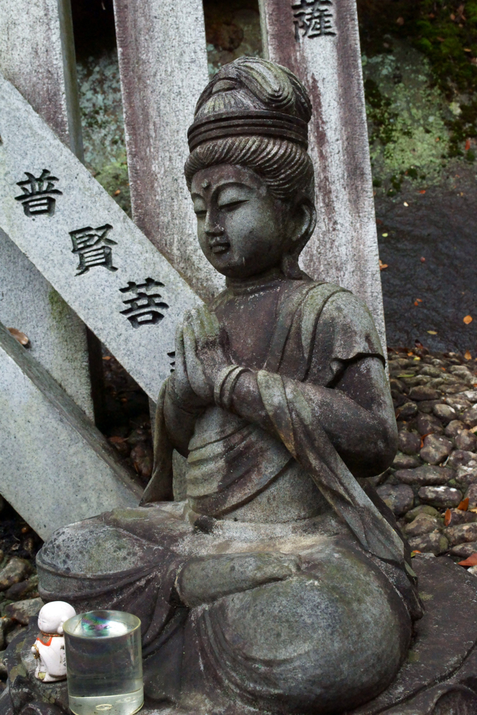 千光寺　普賢菩薩　