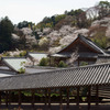 長谷寺