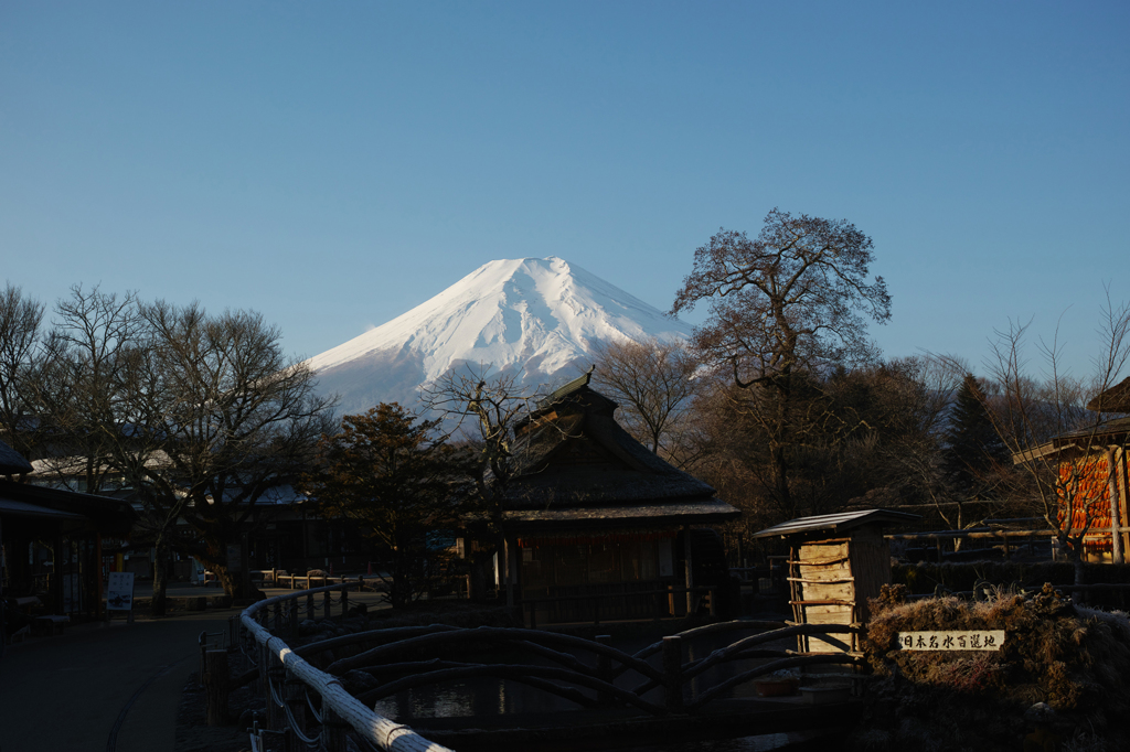 お決まりのパターンですが・・・