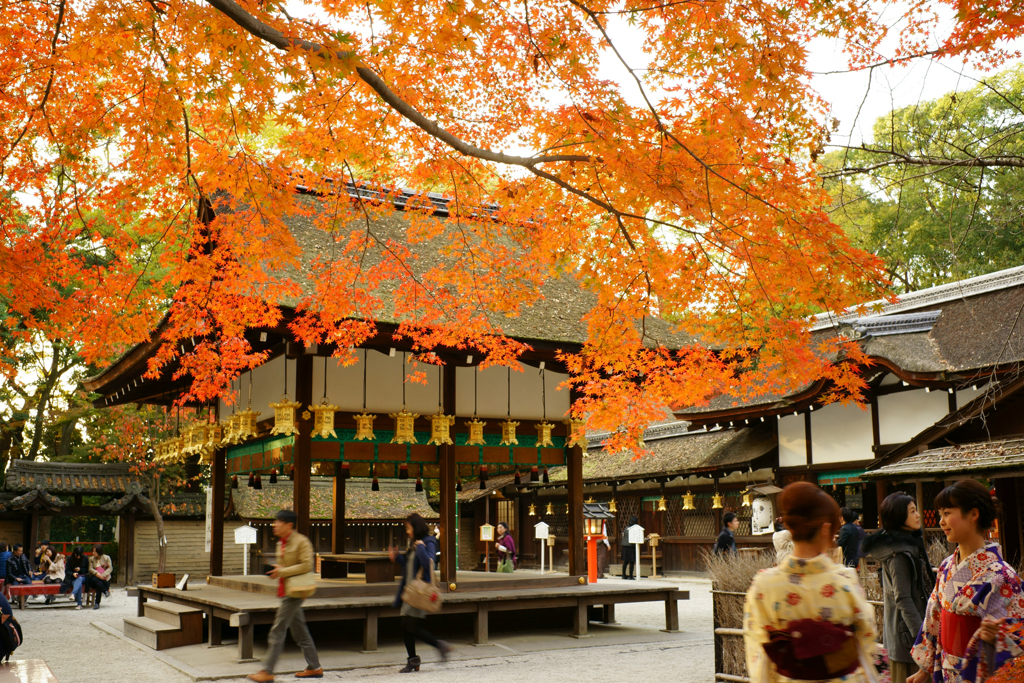 花・草木 紅葉  河合神社にて