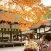 花・草木 紅葉  河合神社にて 2