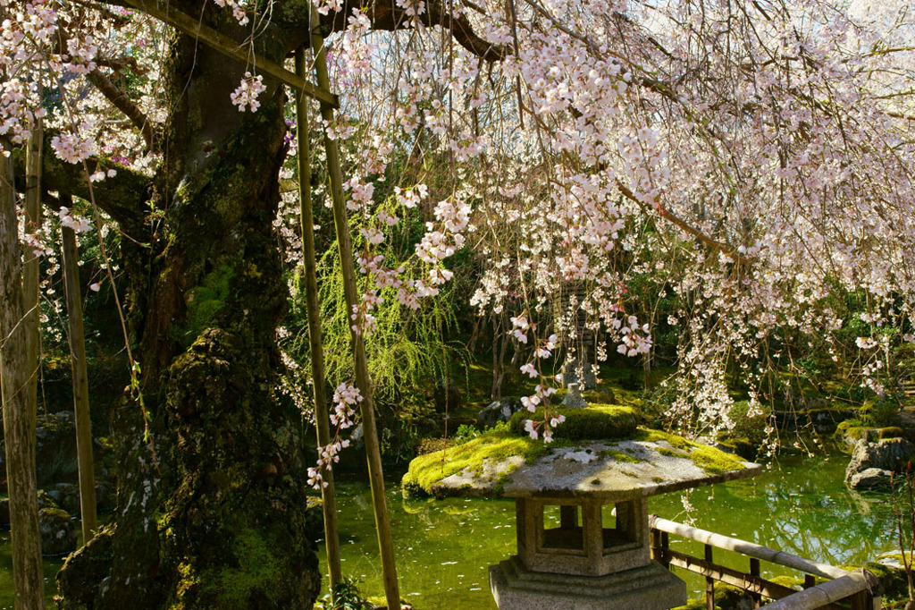 竹林院群芳園