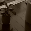 room1