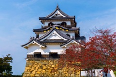 彦根城