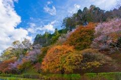 小原ふれあい公園