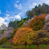 小原ふれあい公園