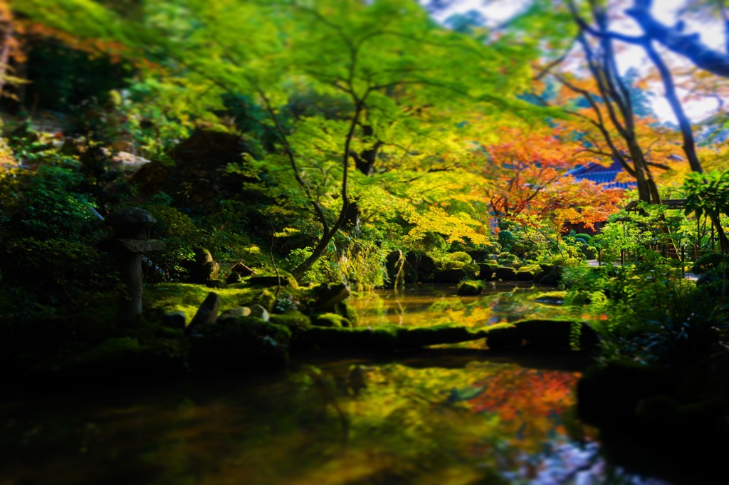 庭園