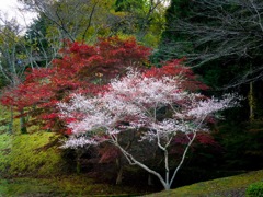 小原ふれあい公園