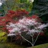 小原ふれあい公園