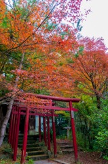 岩屋堂公園