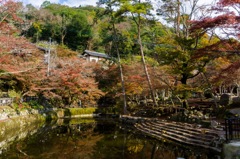 岩屋堂公園