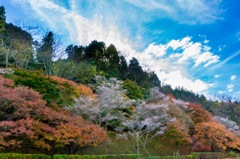 小原ふれあい公園