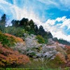 小原ふれあい公園