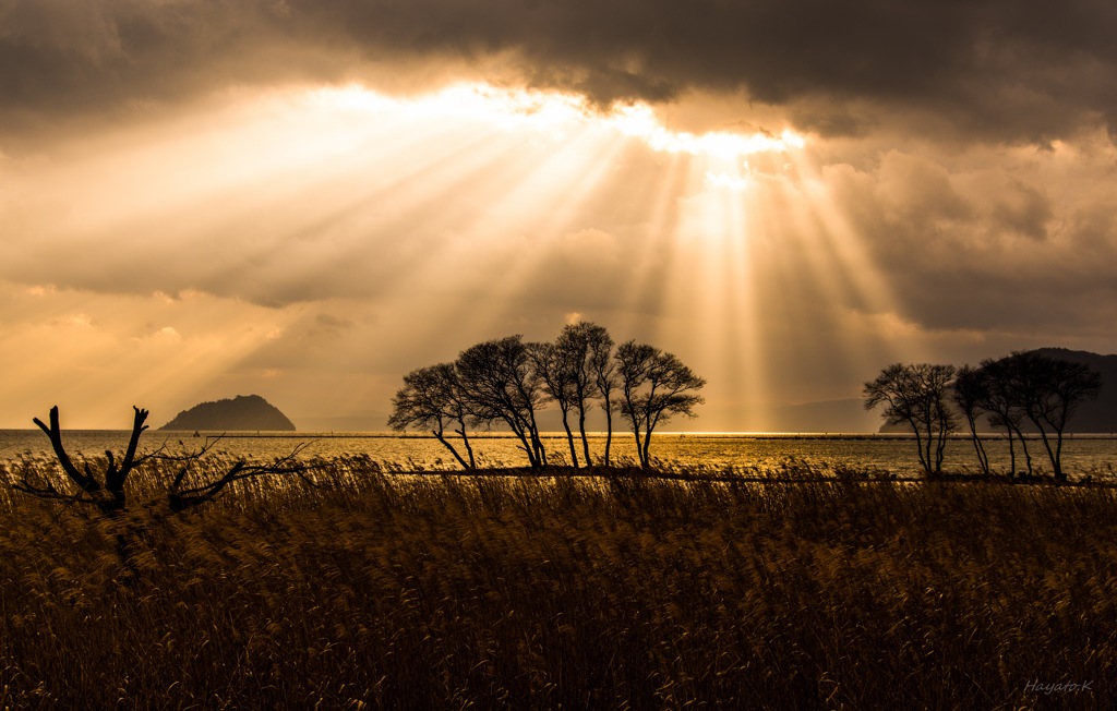 Light of hope