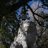犬山 (4)