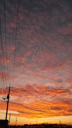 燃え立つ雲の日