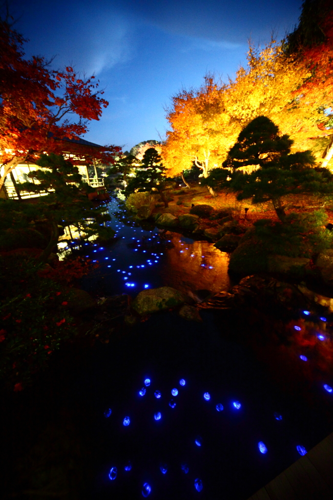 ある庭園の紅葉と昂揚