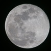 fullmoon