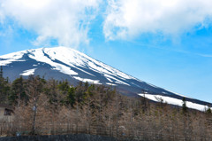 近すぎる山頂です