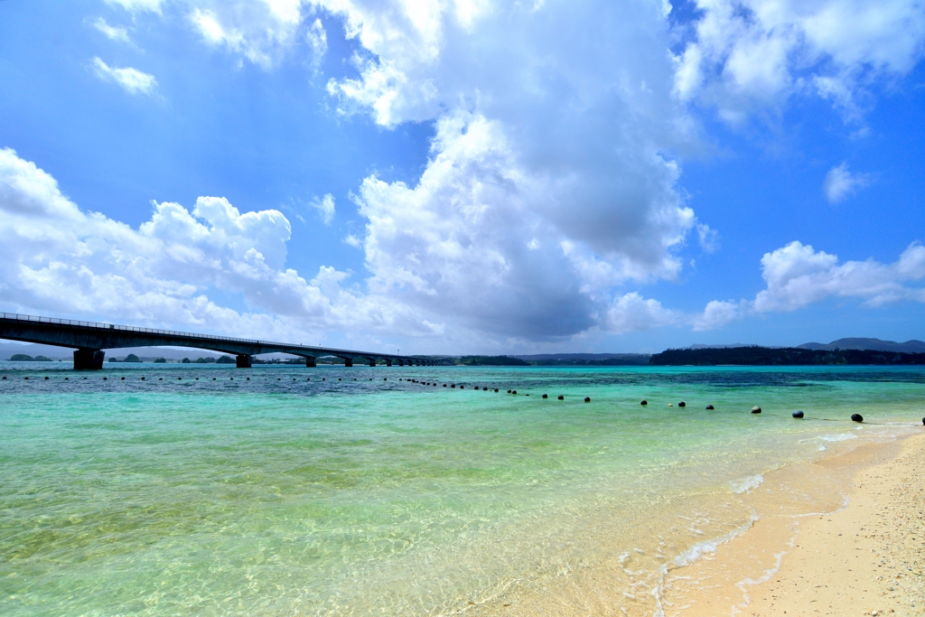 夏
