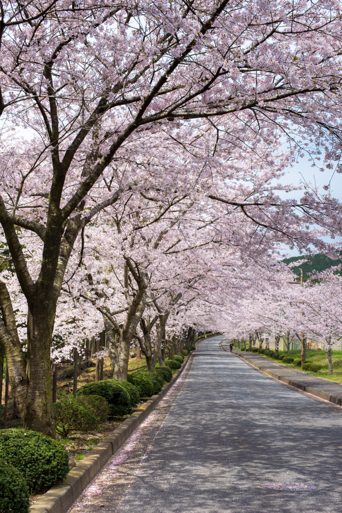 君津霊園。