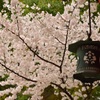 平安神宮