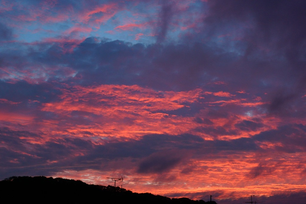夕焼