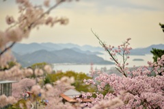 千光寺公園