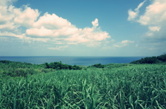 『沖縄の空と海とさとうきび』