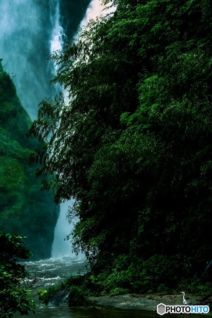 雨の日の龍門滝