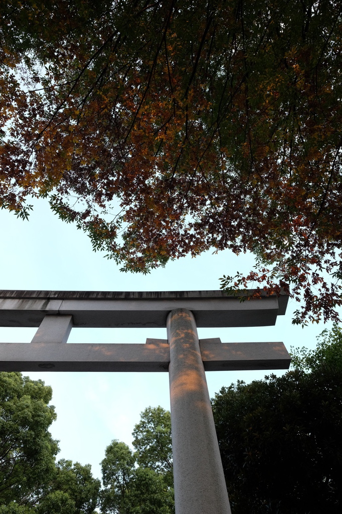 鳥居