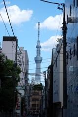 路地とスカイツリー
