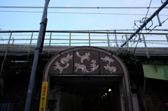 キツネ