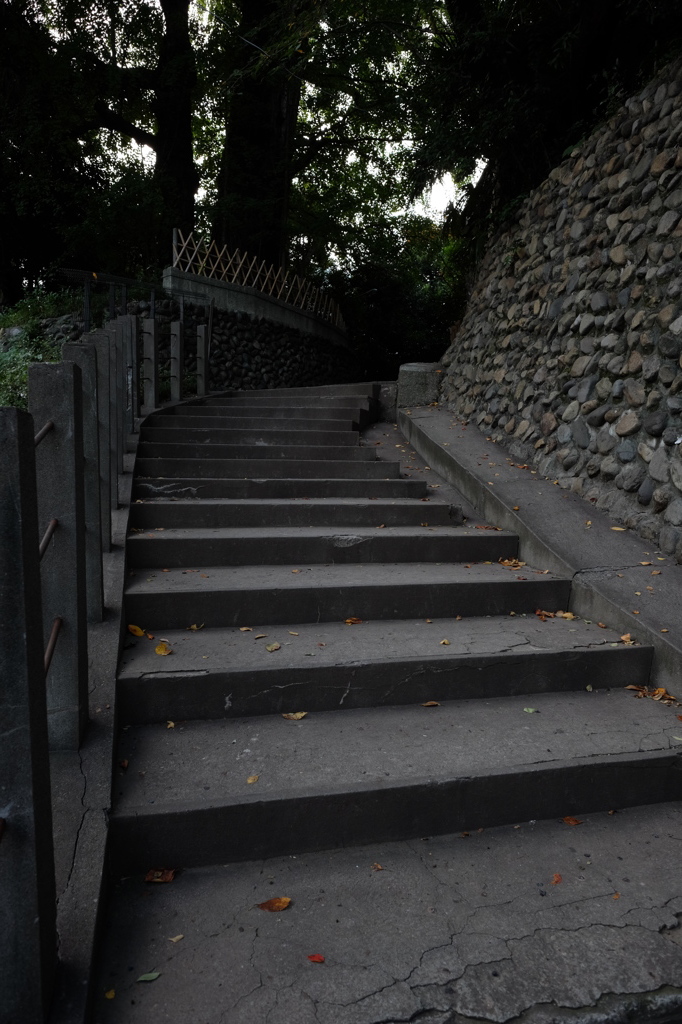 王子神社参道