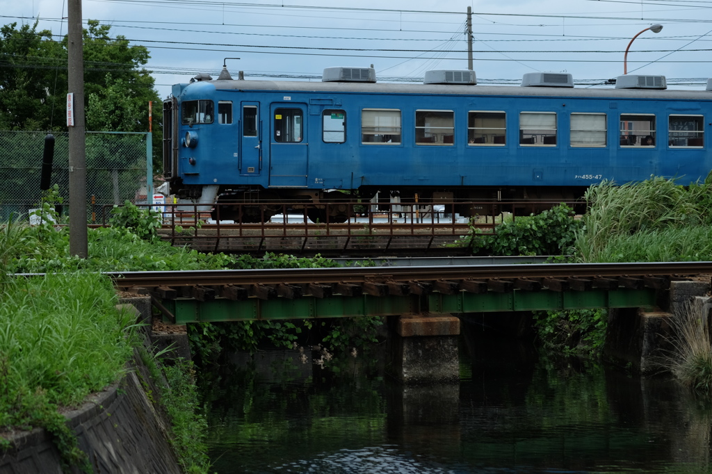 普通列車（と鴨）