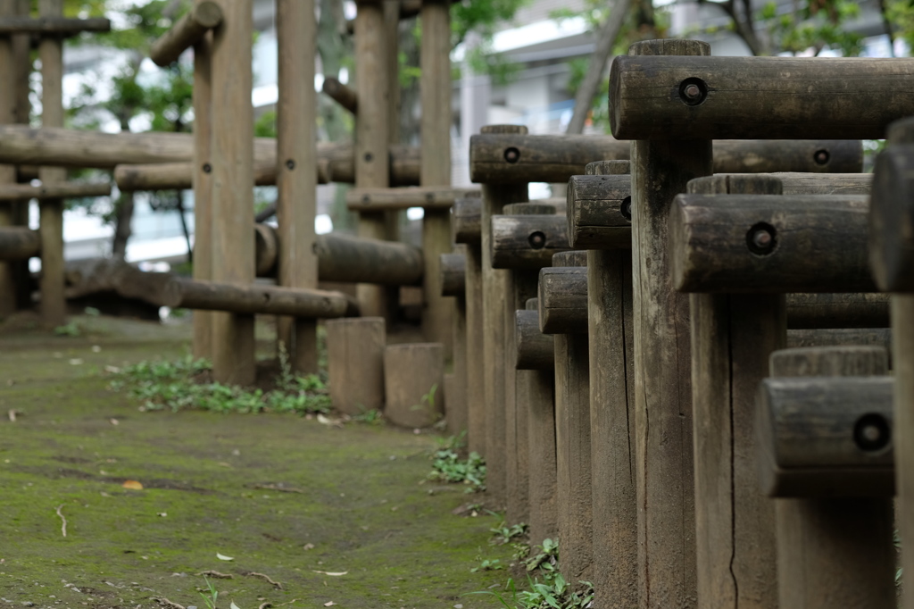 公園