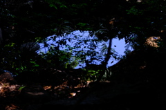 梅雨の晴れ間