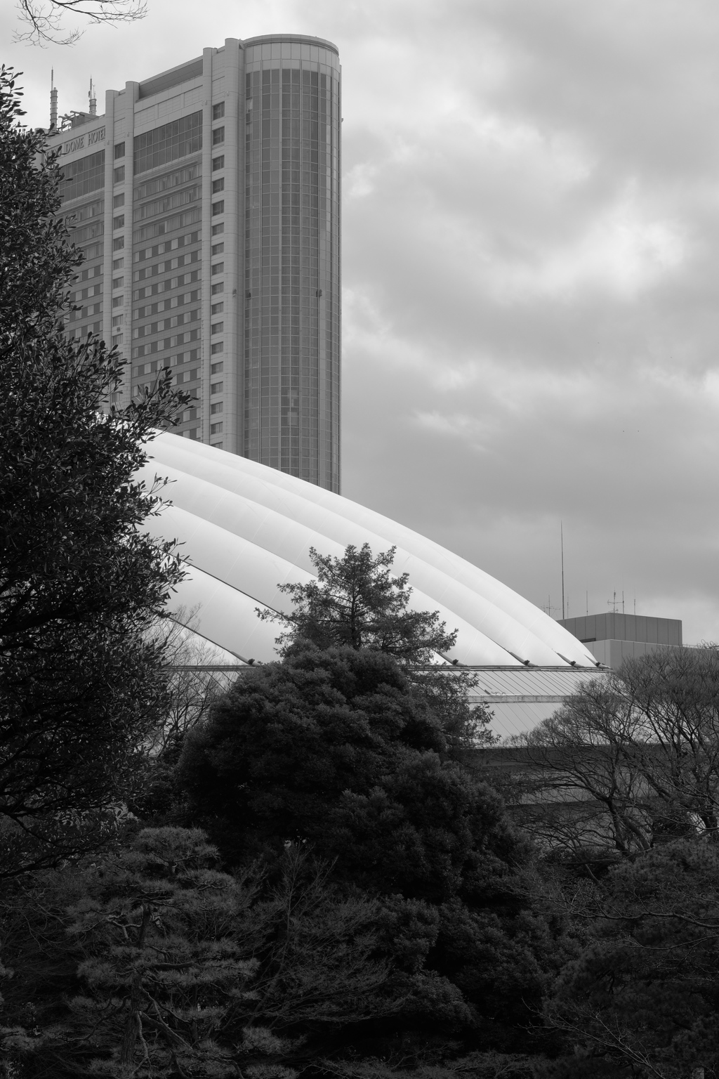 東京ドーム
