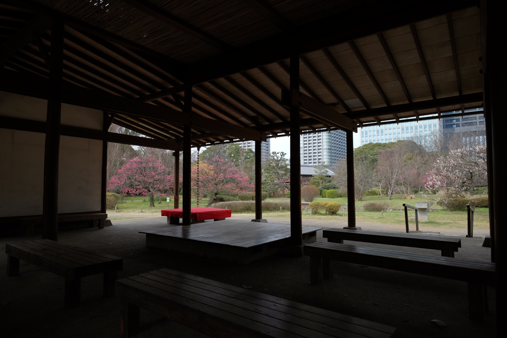 休憩所の眺め
