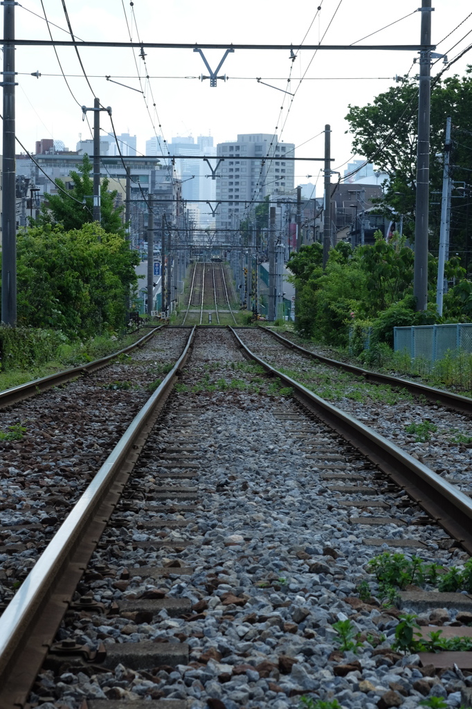 鉄路と高層ビル