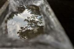 雨上がりその後