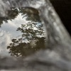 雨上がりその後