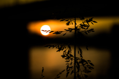 多摩川の夕日