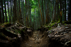 八ヶ岳