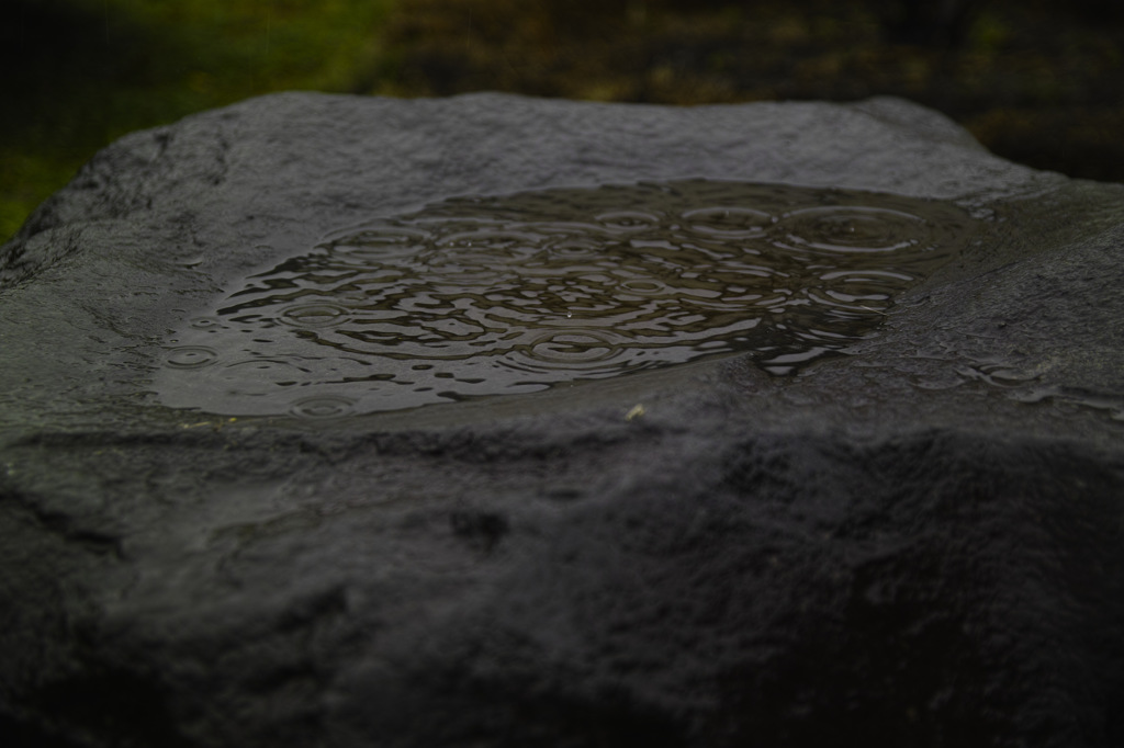 雨